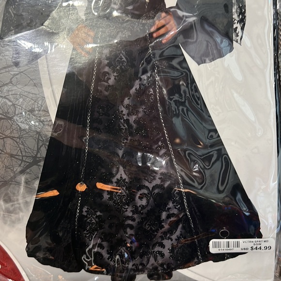 Victorian Spirit Costume - Picture 3 of 6